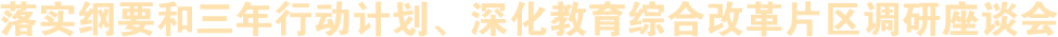 落實綱要和三年行動計劃、深化教育綜合改革片區調研座談會